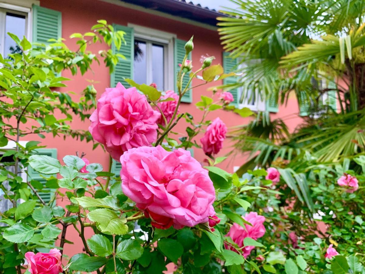 Il Giardino Segreto Appartement *