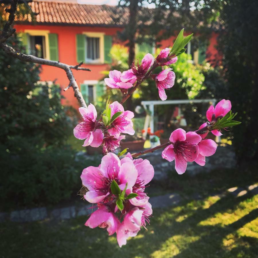 Il Giardino Segreto * Arona