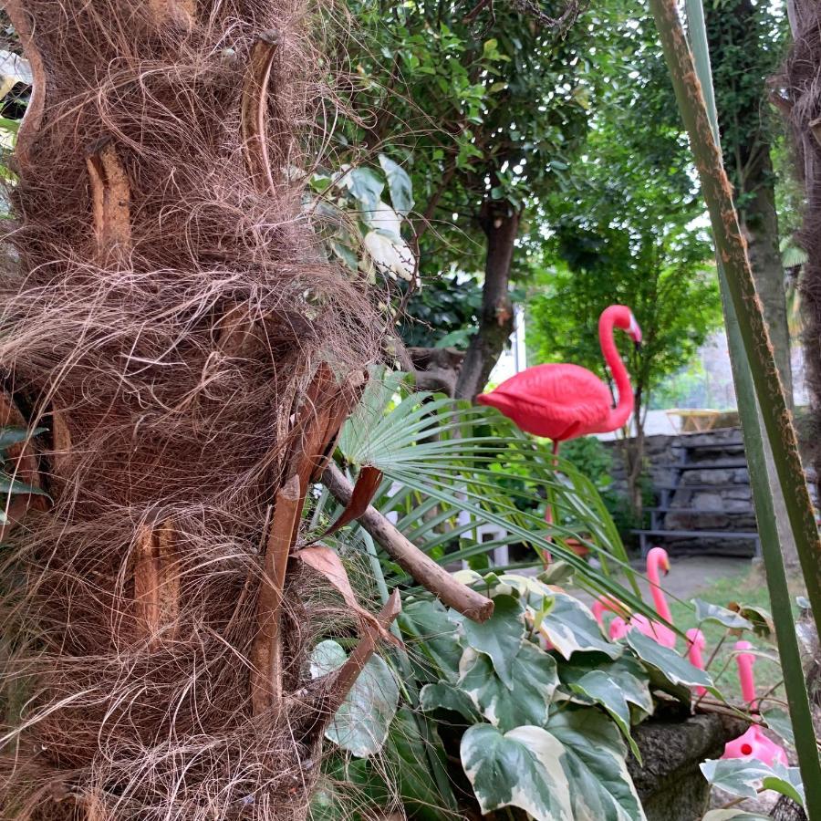 Il Giardino Segreto Arona